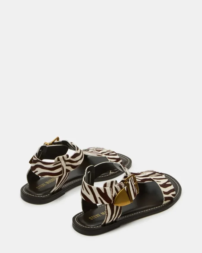 Brazinn Zebra
