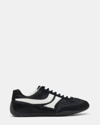 Dobson Negro Multicolor