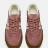 Dodge Mauve Dodge Mauve
