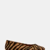 Nurture Zebra
