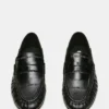 Roger Black Eel