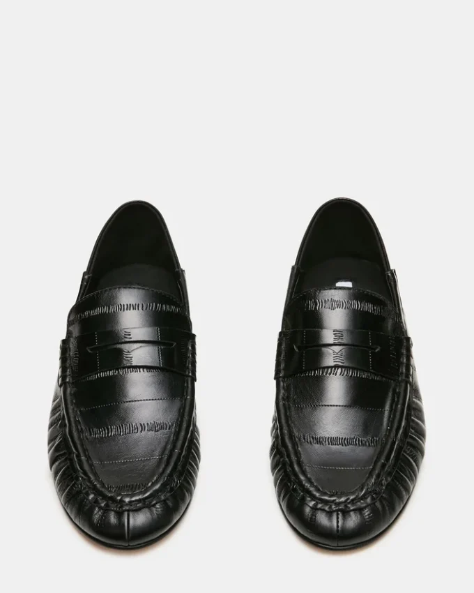 Roger Black Eel