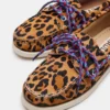 Sail Leopard